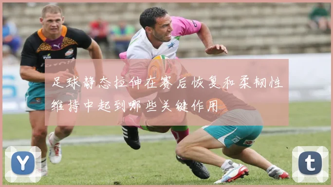 足球静态拉伸在赛后恢复和柔韧性维持中起到哪些关键作用