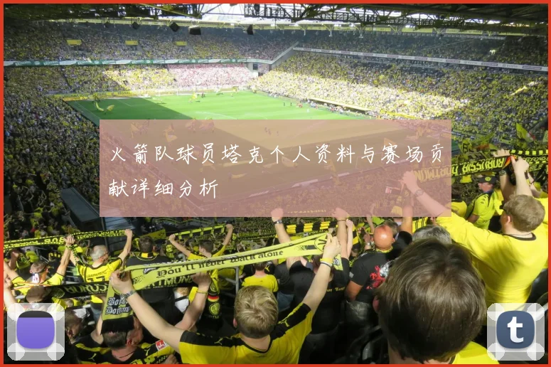 火箭队球员塔克个人资料与赛场贡献详细分析