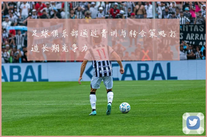 足球俱乐部通过青训与转会策略打造长期竞争力